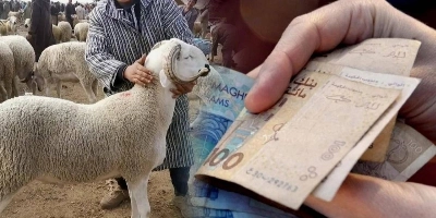 Objet de discorde : Une commission d’enquête sur les subventions aux importateurs de bétails