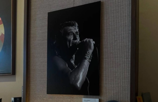 L'exposition de Cécile Tréal est consacrée à l’univers de la musique live, du jazz, du blues et de la photographie. argentique.