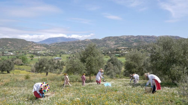 La Fondation OCP renforce son modèle d'impact durable à travers 256 projets déployés au Maroc et dans 16 pays, misant sur l'éducation, la recherche, l'agriculture et l'entrepreneuriat pour accompagner le développement des territoires.
