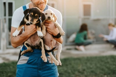 "La compassion incriminée", l'inquiétude des défenseurs de la cause animale
