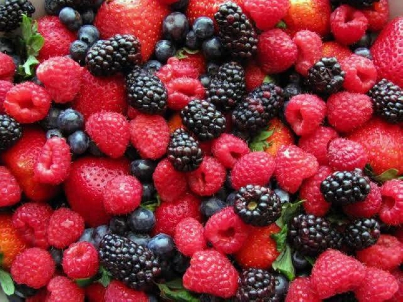 Les exportations marocaines de framboises vers le Royaume-Uni atteignent un nouveau record, portant la part du Maroc à 62,9% des importations britanniques.