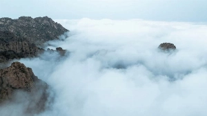 Flog, clouds and rain over Taif in 2025.