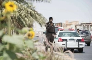 Those arrested include 12,687 violators of the Immigration Act, 4,318 violators of the Border Patrol Act, and 3,232 violators of the Labor Law.