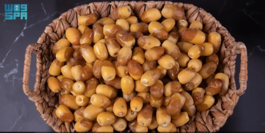 Saudi Arabia boosts global date output with 400 varieties, 8.1m palm trees