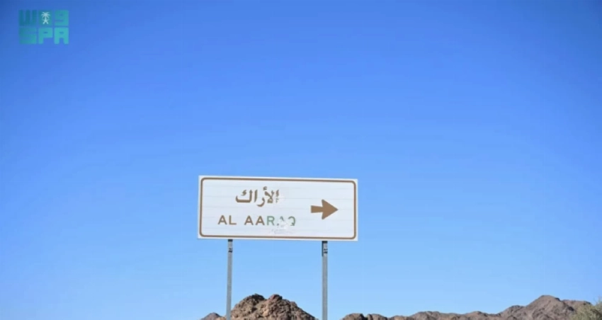 Arak tree: The ancient source of the Miswak