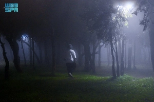 Rainfall and fog in Al-Baha.