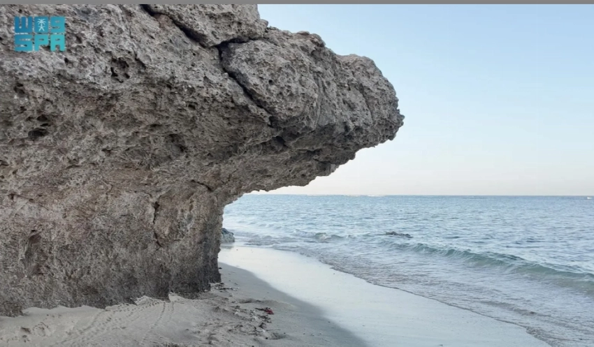Al-Shuaiba: Where coral reefs tell the story of sea, time and trade