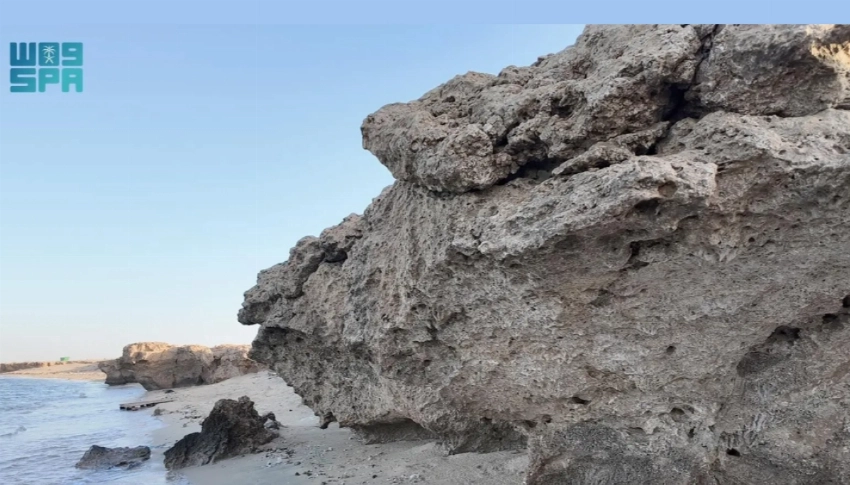 Al-Shuaiba: Where coral reefs tell the story of sea, time and trade