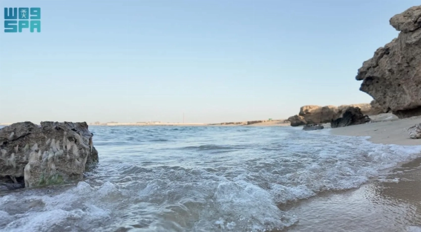 Al-Shuaiba: Where coral reefs tell the story of sea, time and trade