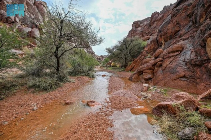 Hail’s deserts bloom as rains draw crowds to mountains and plains
