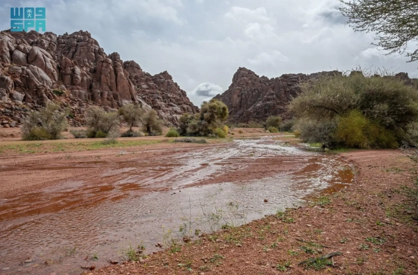 Hail’s deserts bloom as rains draw crowds to mountains and plains
