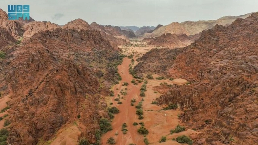 Hail’s deserts bloom as rains draw crowds to mountains and plains