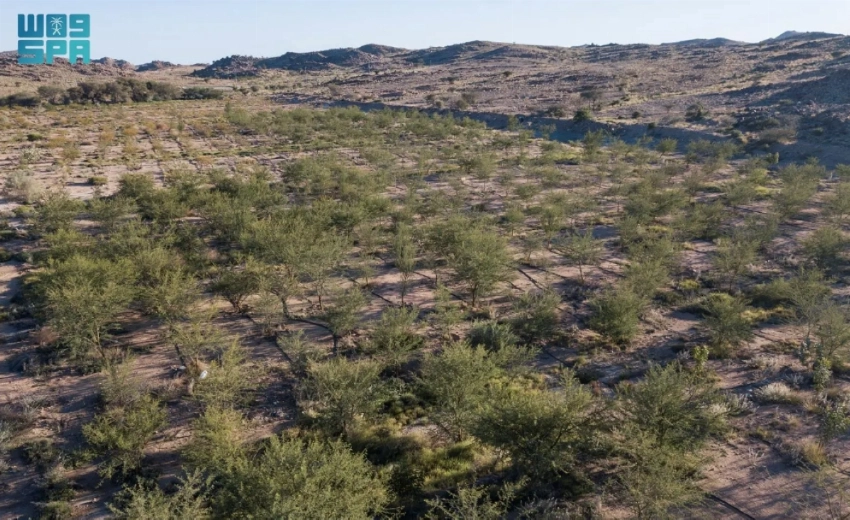 كيف حافظت المملكة العربية السعودية على النمو والاستقرار وسط تصاعد التوترات الإقليمية في مارس؟