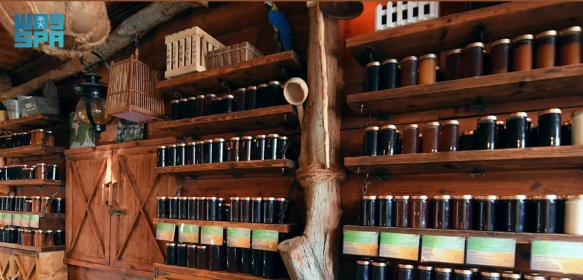 لماذا تعتبر تربية النحل مهمة وكيف تعمل المملكة العربية السعودية على تعزيزها