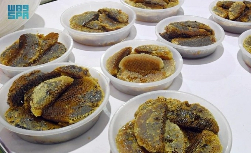 لماذا تعتبر تربية النحل مهمة وكيف تعمل المملكة العربية السعودية على تعزيزها