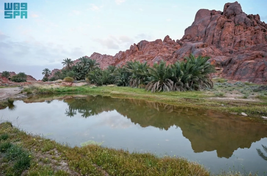 Spring rains cloak Aja Mountains in green across Hail’s rugged landscape