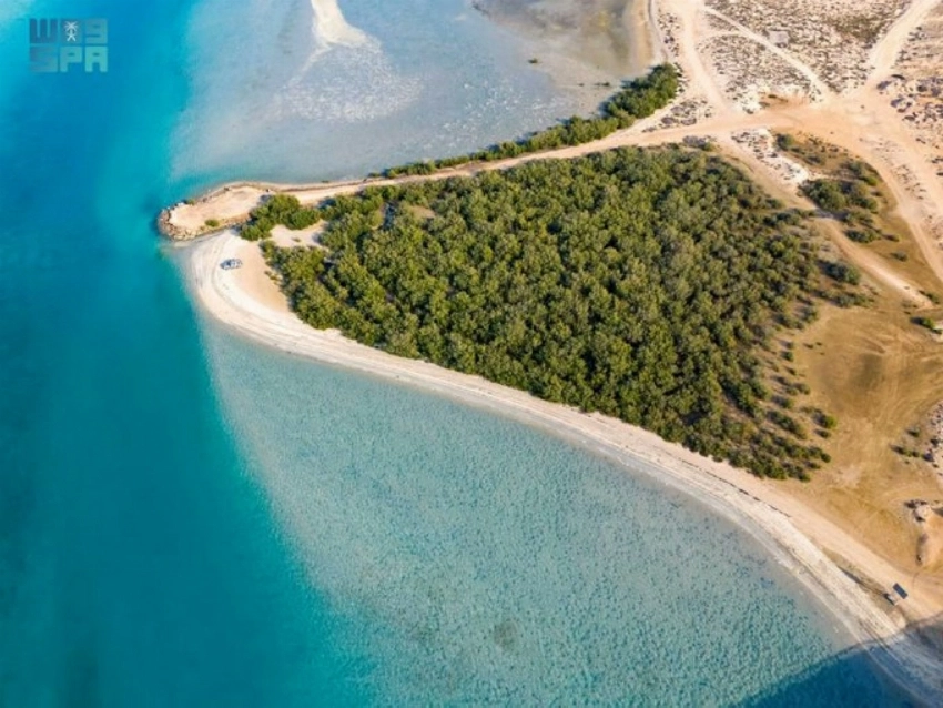 Jazan Municipality implements 28 development projects worth SR546 million in Farasan Islands