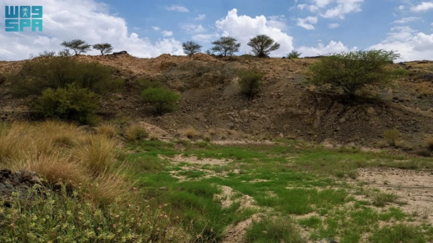 From desert valleys to coral reefs: A week showcasing Saudi Arabia’s natural transformation