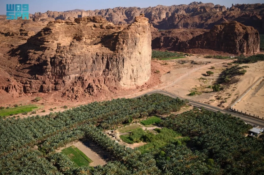 From desert valleys to coral reefs: A week showcasing Saudi Arabia’s natural transformation