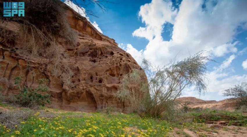 From desert valleys to coral reefs: A week showcasing Saudi Arabia’s natural transformation