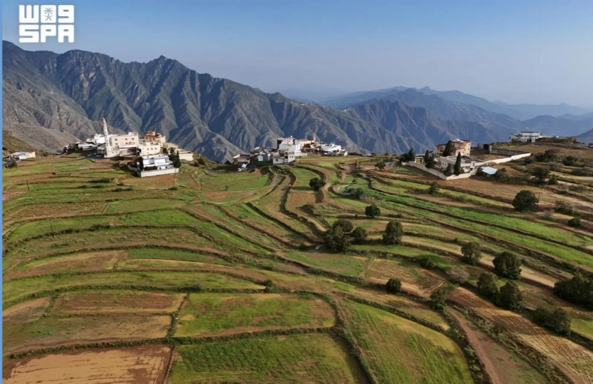 From the Red Sea to Asir, Saudi Arabia highlights its rich environmental diversity