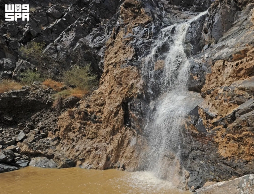 From the Red Sea to Asir, Saudi Arabia highlights its rich environmental diversity