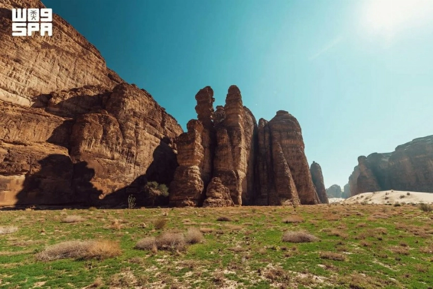المملكة العربية السعودية تحتفل باليوم العالمي لمكافحة التصحر بمعالم الترميم