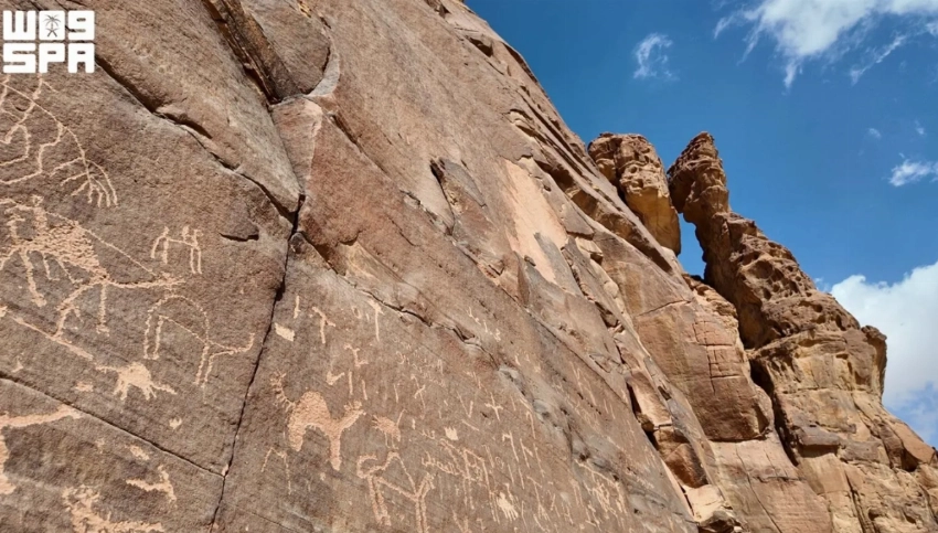 World Camel Day: How AlUla preserves the heritage of the ‘Ship of the Desert’