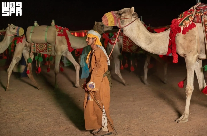 World Camel Day: How AlUla preserves the heritage of the ‘Ship of the Desert’