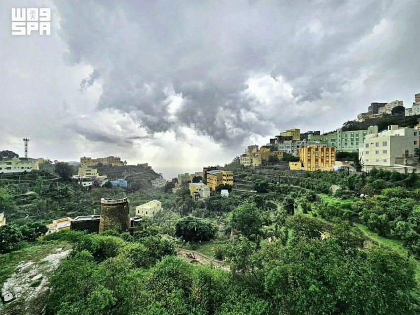 From mountains to mangroves: Exploring Jazan’s 71 forests