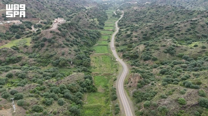 From mountains to mangroves: Exploring Jazan’s 71 forests