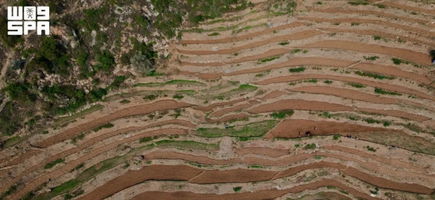 From rocky slopes to fertile fields: The story of Jazan's mountain terraces