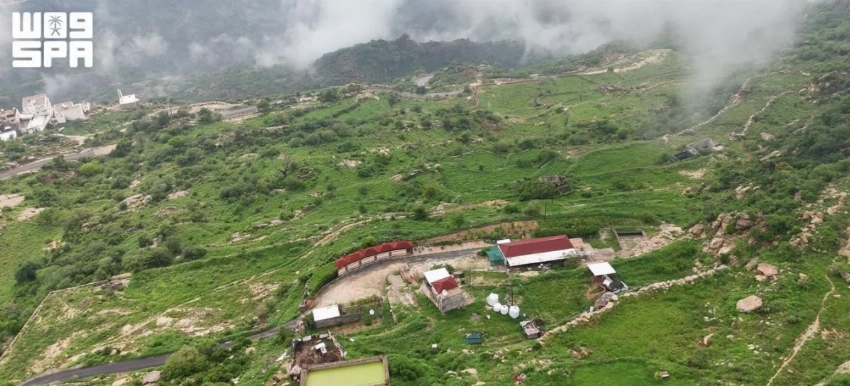 From rocky slopes to fertile fields: The story of Jazan's mountain terraces