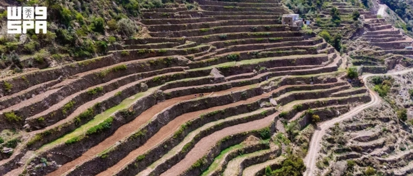 From rocky slopes to fertile fields: The story of Jazan's mountain terraces