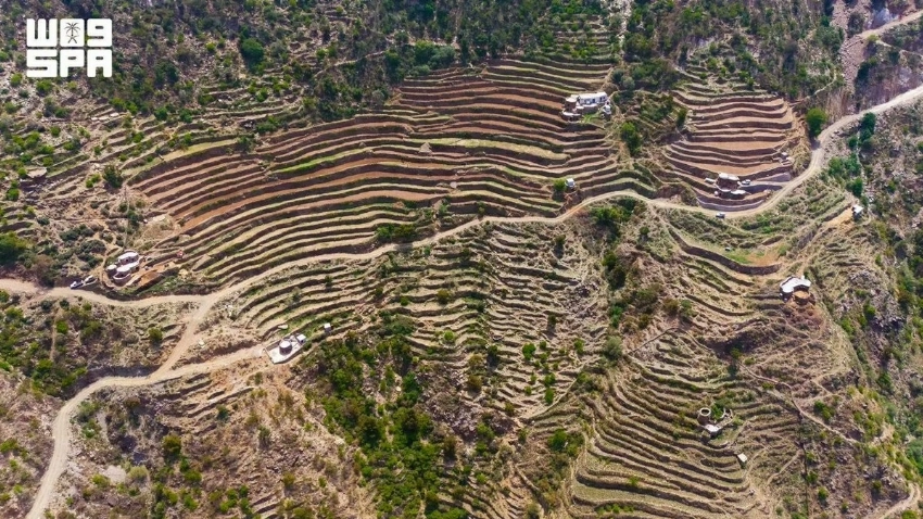 From rocky slopes to fertile fields: The story of Jazan's mountain terraces