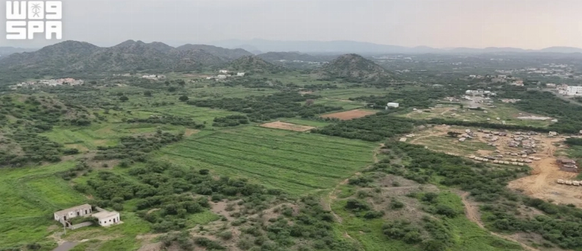 From rocky slopes to fertile fields: The story of Jazan's mountain terraces