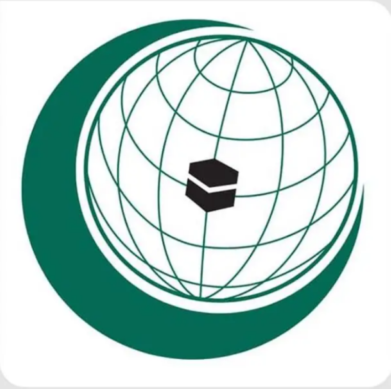 منظمة التعاون الإسلامي تُرحب باعتماد مجلس حقوق الإنسان القرارات المتعلقة بفلسطين