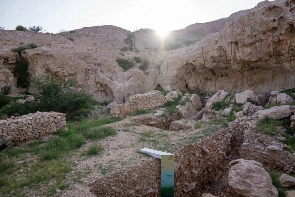 كبرى المؤسسات البحثية العالمية تتنافس على «منحة الفاية»