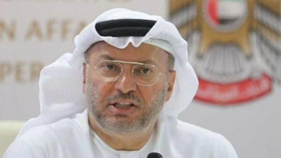 الدكتور أنور محمد قرقاش