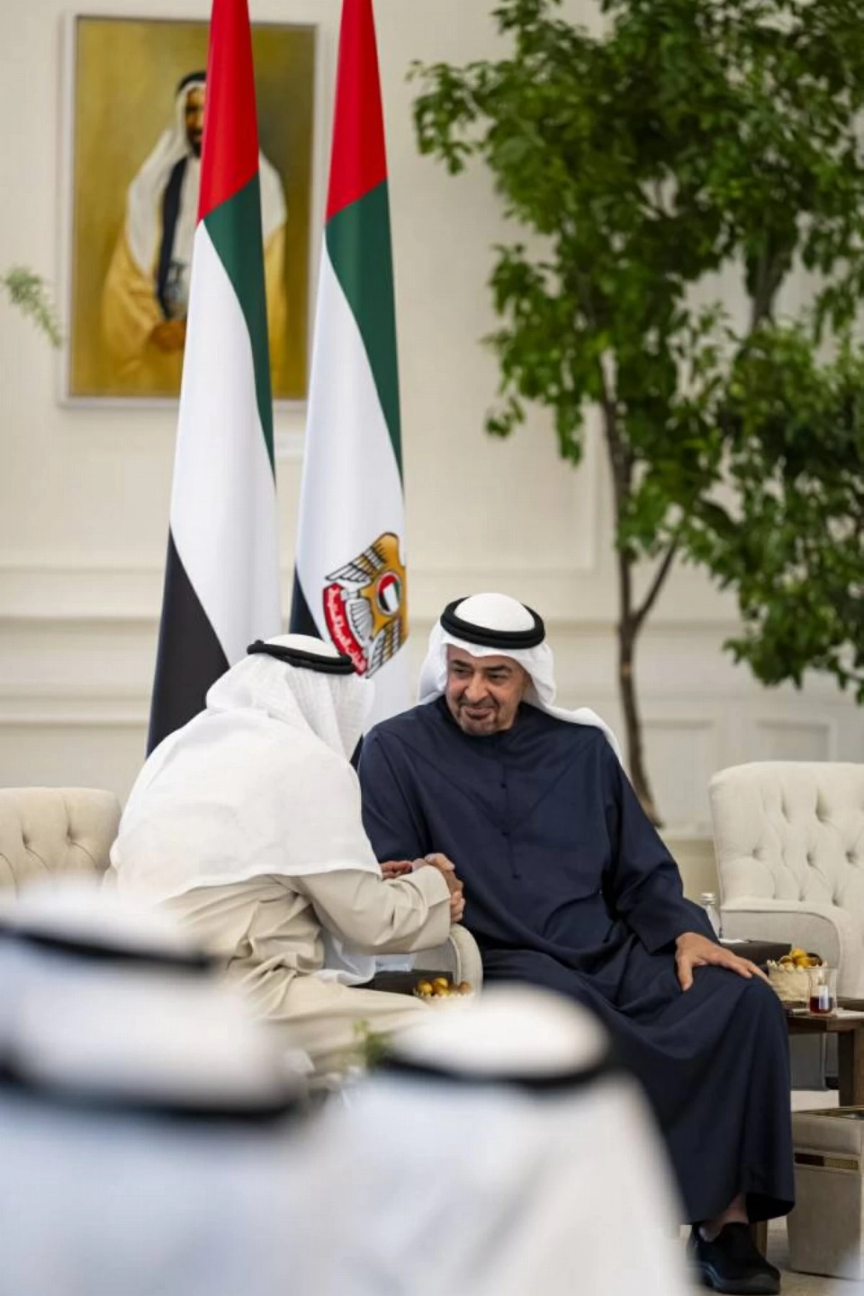محمد بن زايد يستقبل جموع المواطنين (فيديو)