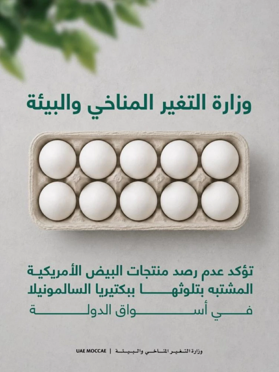خلو أسواق الإمارات من منتجات البيض المسحوبة في أمريكا
