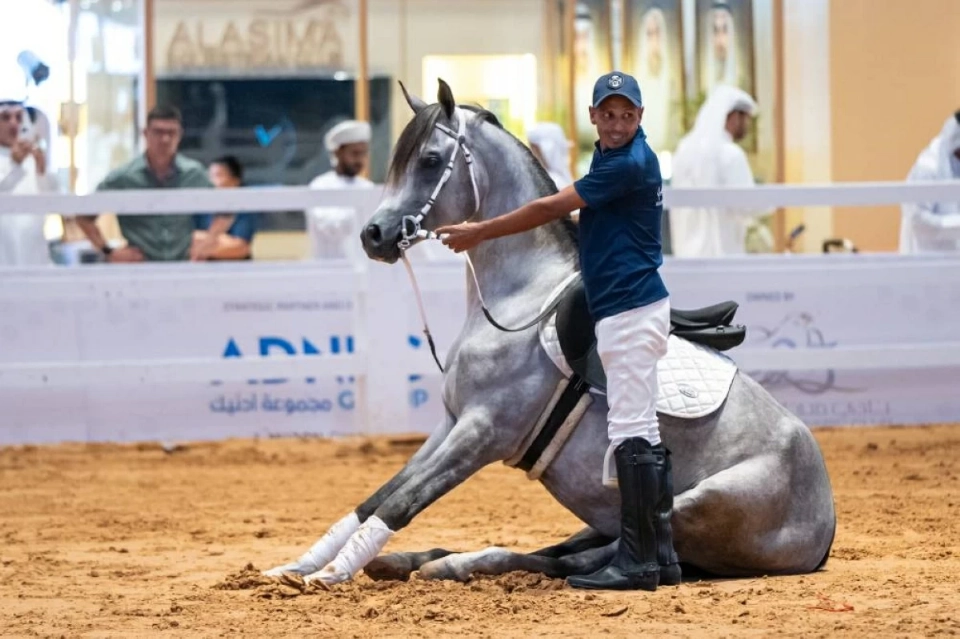 مزاد الخيول أبرز محطات ثامن أيام «أبوظبي للصيد»