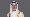 جراح الجابر