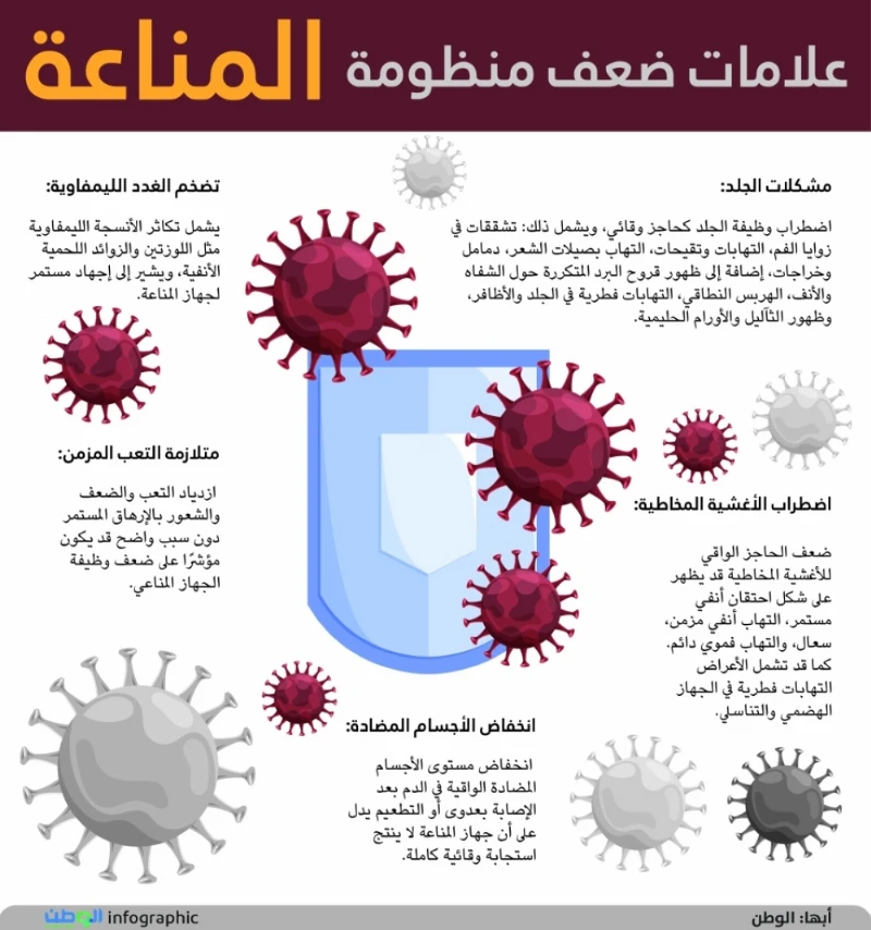 تضاعف الاستثمار الأجنبي 5 مرات خلال السنوات الخمس الماضية