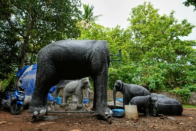 Robotic elephants draw crowds and controversy in some of India's Hindu temples