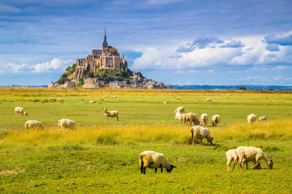 Researchers have developed a new method to analyze climate history and their findings align with current climate models. Researchers have developed a new method to analyze climate history and their findings align with current climate models.