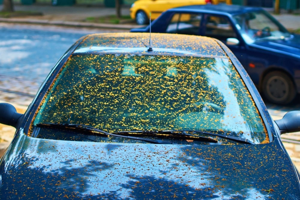 Surging populations of plant-eating insects are disrupting farms and the food supply chain, causing problems far more serious than sticky windshields from bug excrement. Surging populations of plant-eating insects are disrupting farms and the food supply chain, causing problems far more serious than sticky windshields from bug excrement.