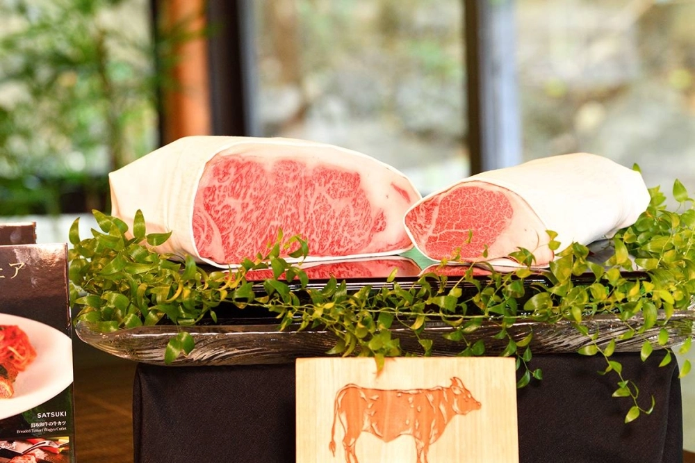 Tottori wagyu Tottori wagyu