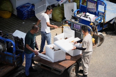 Vendors carry lobster at a seafood market in Shanghai, China, on Friday. Vendors carry lobster at a seafood market in Shanghai, China, on Friday.