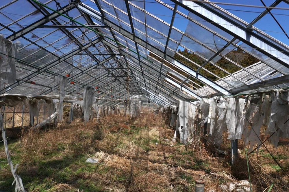 An abandoned greenhouse near Okuma, Fukushima Prefecture. The town is one of the two municipalities that is home to the crippled Fukushima No. 1 nuclear plant. The entire population of about 11,500 people was evacuated in March 2011 and most haven't returned.  An abandoned greenhouse near Okuma, Fukushima Prefecture. The town is one of the two municipalities that is home to the crippled Fukushima No. 1 nuclear plant. The entire population of about 11,500 people was evacuated in March 2011 and most haven't returned.